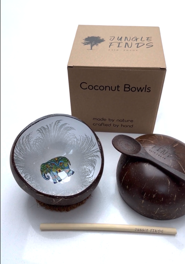 Silver elephant coconut bowl